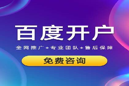 百度推广运营实战：成功案例解析